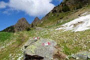 43 Sul 217 verso il Laghetto di Pietra Quadra